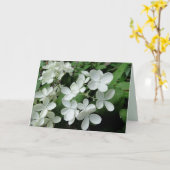 White Pee Gee Hydrangea Flowers Blank Note Card Kaart (Gele Bloem)