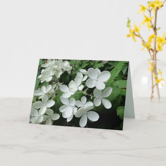 White Pee Gee Hydrangea Flowers Blank Note Card Kaart (Gele Bloem)