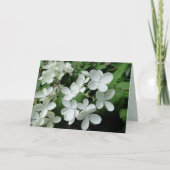 White Pee Gee Hydrangea Flowers Blank Note Card Kaart (Voorkant)
