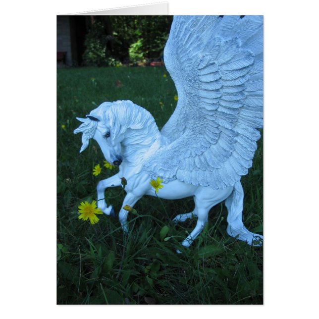 White Pegasus (Voorkant)