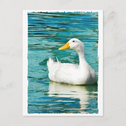 White Pekin Duck - Natuur Foto in Reflecties Briefkaart (Voorkant)