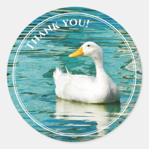 White Pekin Duck - Natuur Foto Lake Reflections Ronde Sticker