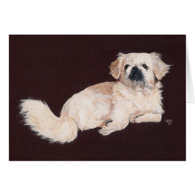 White Pekingese Dog (Voorkant Horizontaal)