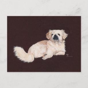 White Pekingese Dog Briefkaart