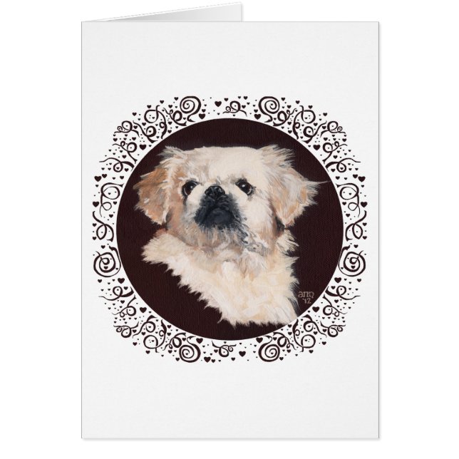 White Pekingese Head Studie (Voorkant)