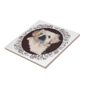 White Pekingese Head Studie Tegeltje (Zijkant)