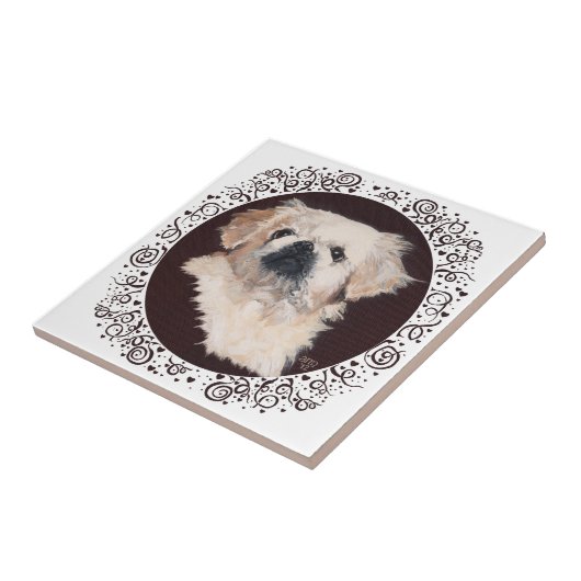 White Pekingese Head Studie Tegeltje (Zijkant)