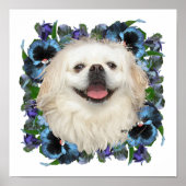 White Pekingese met Pansies Poster (Voorkant)
