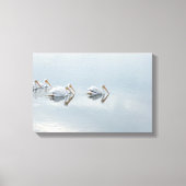 White Pelican Birds Animals Wrapped Canvas Print (Voorkant)