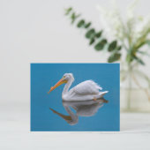 White Pelican Briefkaart (Staand voorkant)