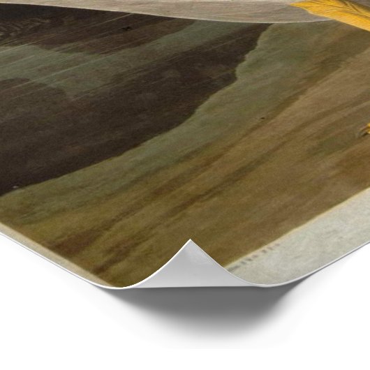 White Pelican, John James Audubon Poster (Hoek)