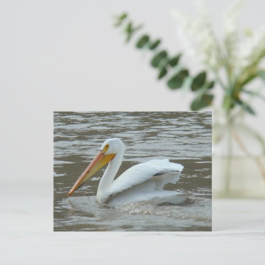 White Pelican on Muddy River Briefkaart (Staand voorkant)
