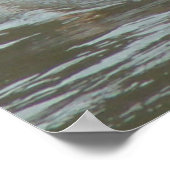 White Pelican on Muddy River Poster (Hoek)