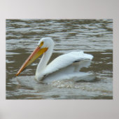 White Pelican on Muddy River Poster (Voorkant)