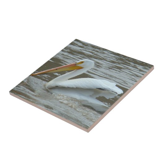 White Pelican on Muddy River Tegeltje (Zijkant)