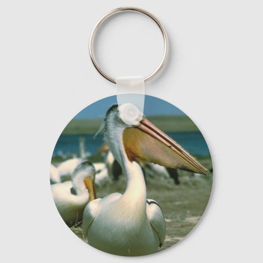 White Pelican Sleutelhanger (Voorkant)