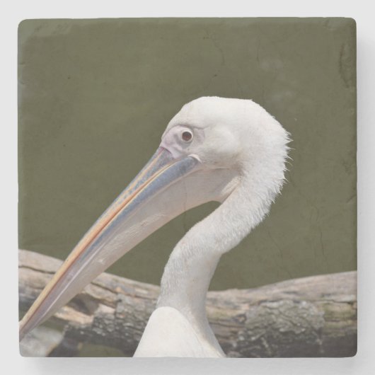 White Pelican Stenen Onderzetter (Voorkant)