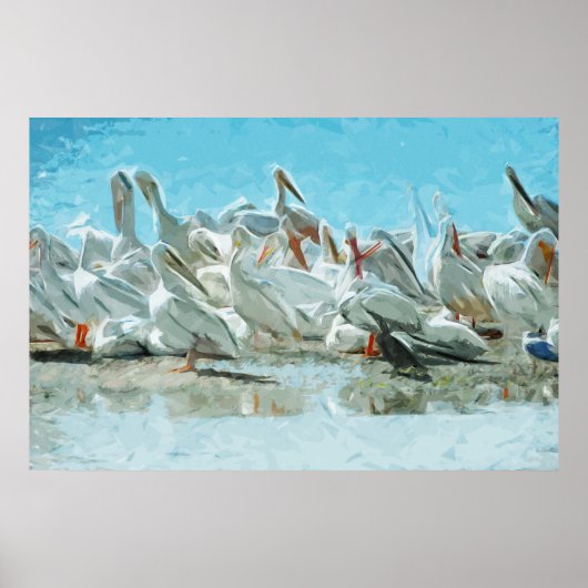 White Pelicans and Black Cormorant Abstract Poster (Voorkant)