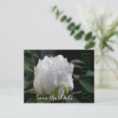 White Peony 35th Birthday Save the Date Briefkaart (Staand voorkant)