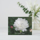 White Peony Briefkaart (Staand voorkant)