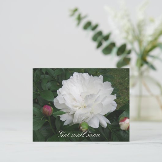 White Peony Briefkaart (Staand voorkant)