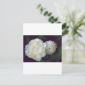 White Peony Briefkaart (Staand voorkant)