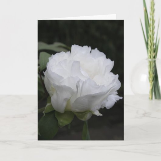 White Peony Button Early in the Morning Card Kaart (Voorkant)