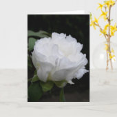White Peony Button Early in the Morning Card Kaart (Gele Bloem)