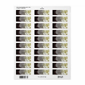 White Peony Etiket (Full Sheet)