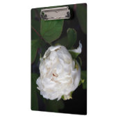 White Peony Floral Photography Cliboard Klembord (Links)