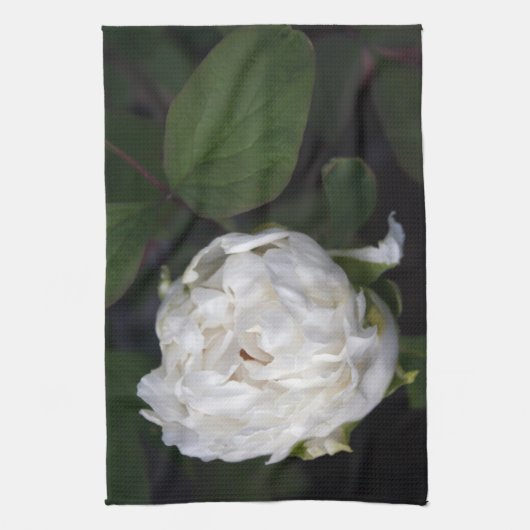 White Peony Floral Photography - Kitchen Towels Theedoek (Verticaal)