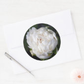 White Peony Floral Photography Round Sticker (Envelop)