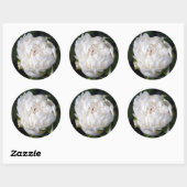 White Peony Floral Photography Round Sticker (Vel)