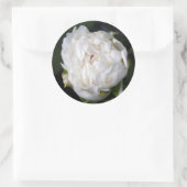 White Peony Floral Photography Round Sticker (Tas)