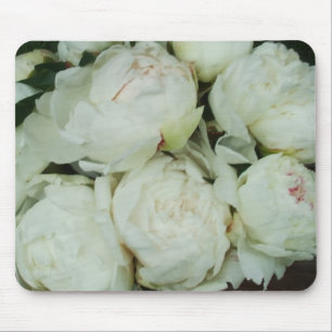 White Peony Flower Buds Muismat
