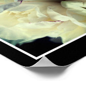 White Peony Flower in Bloom Sluit Abstract Poster (Hoek)