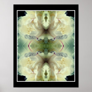 White Peony Flower in Bloom Sluit Abstract Poster