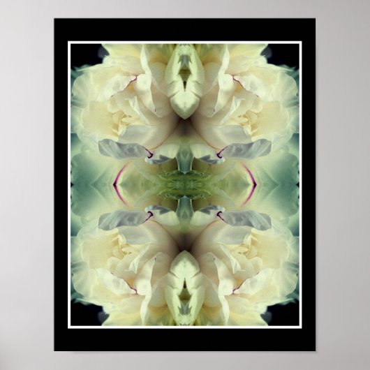 White Peony Flower in Bloom Sluit Abstract Poster (Voorkant)