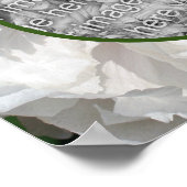 White Peony Flower Lijst Creëer Uw eigen foto Poster (Hoek)