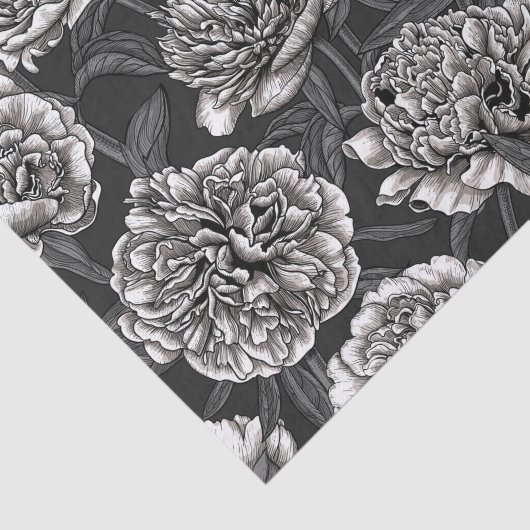 White peony flowers on dark gray tissuepapier (Detail)