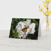 White Peony Kaart (Gele Bloem)