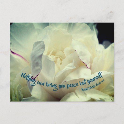 White Peony Peace Inspirerend Quote Briefkaart (Voorkant)