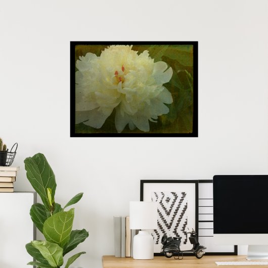 White Peony Poster (Thuiskantoor)