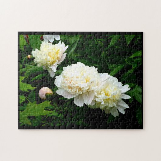 White Peony Trio Legpuzzel (Horizontaal)