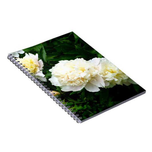 White Peony Trio Notitieboek (Rechterzijde)