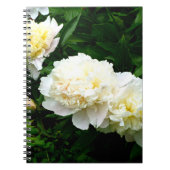 White Peony Trio Notitieboek (Voorkant)