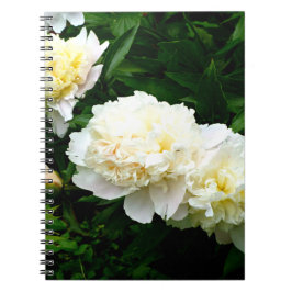 White Peony Trio Notitieboek