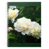 White Peony Trio Notitieboek (Voorkant)