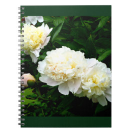 White Peony Trio Notitieboek