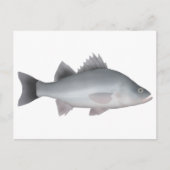 White Perch Briefkaart (Voorkant)